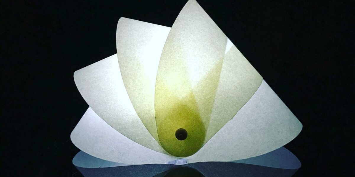 lampara_caracol