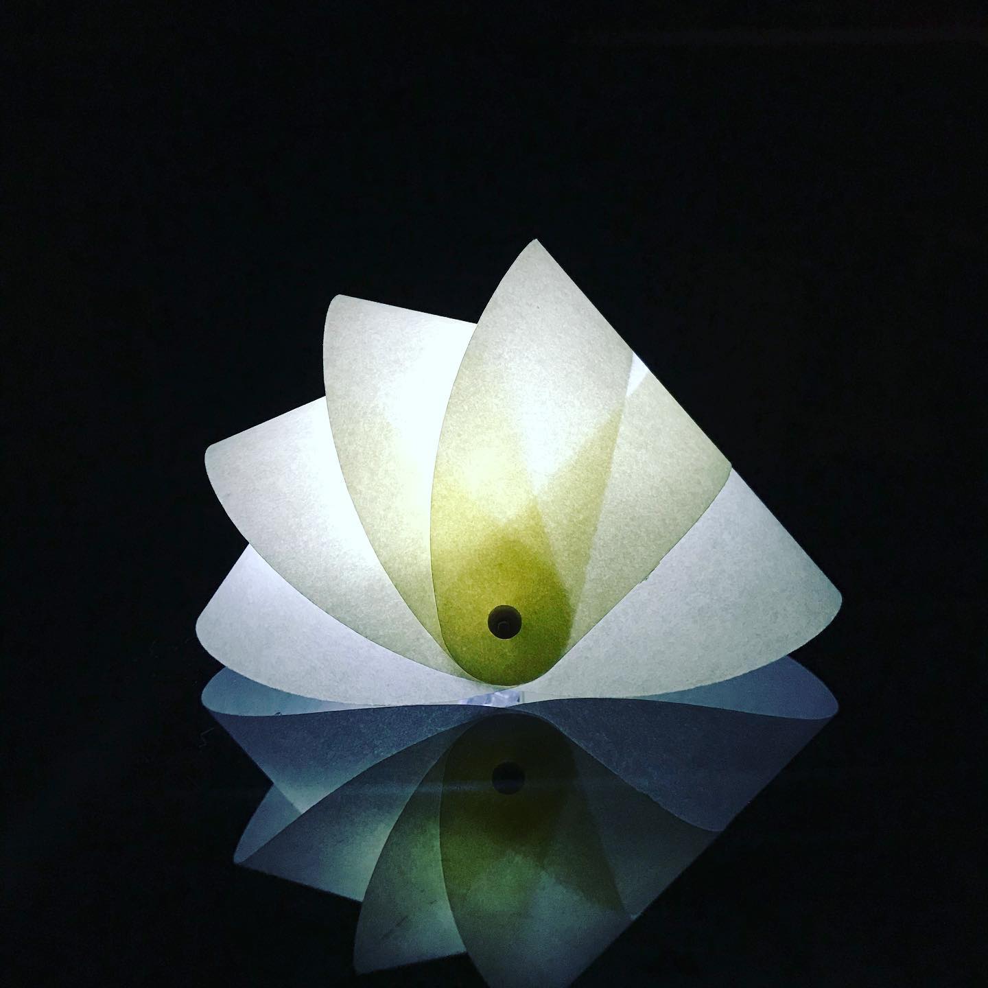 lampara_caracol